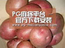 产品展示标题1