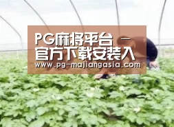 种植基地三