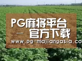 种植基地五(图1)