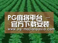 种植基地六(图1)