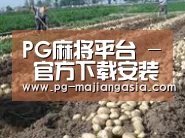 种植基地七(图1)