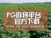 种植基地五