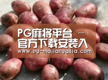 产品展示标题5(图1)