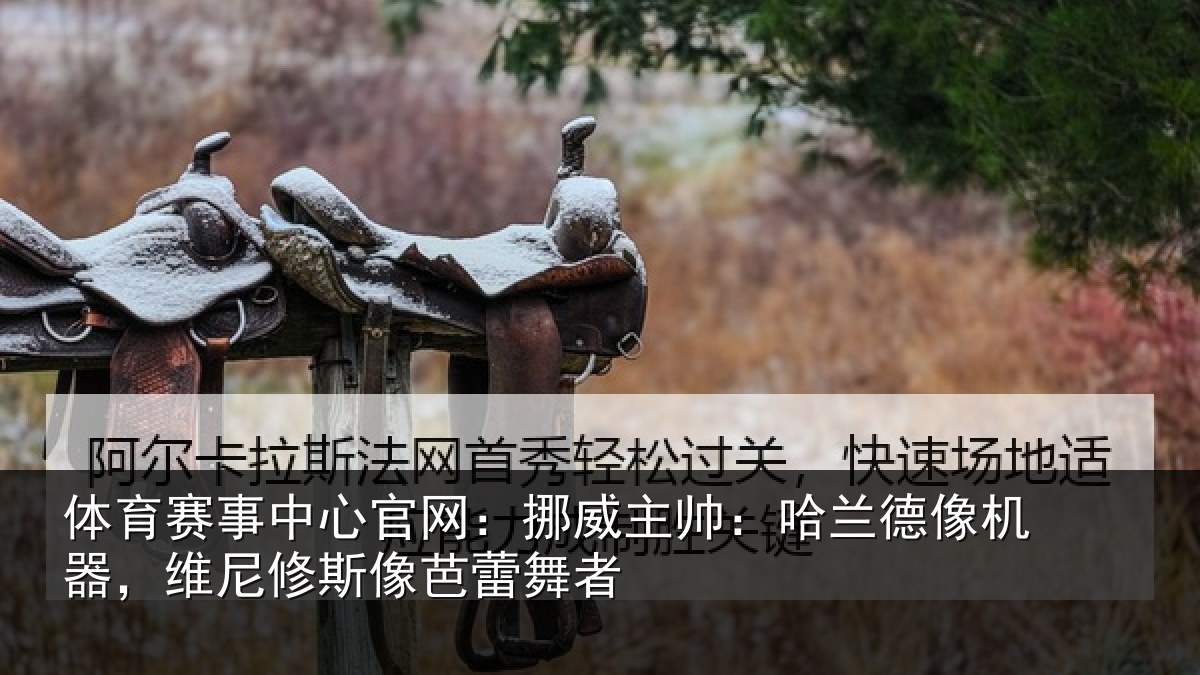体育赛事中心官网:挪威主帅:哈兰德像机器,维尼修斯像芭蕾舞者