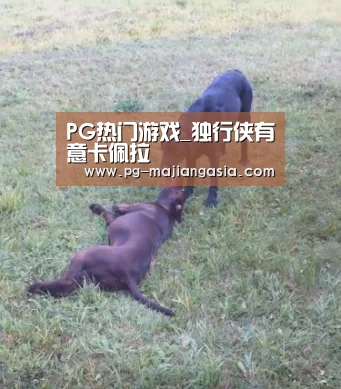 PG热门游戏_独行侠有意卡佩拉(图3) PG麻将平台