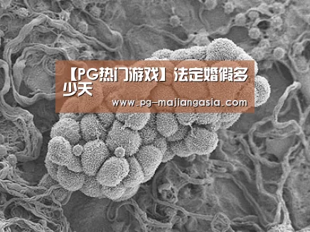 【PG热门游戏】法定婚假多少天(图3) PG热门游戏