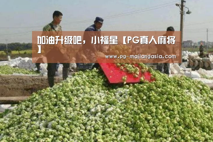 加油升级吧,小福星【PG真人麻将】(图4) PG真人麻将
