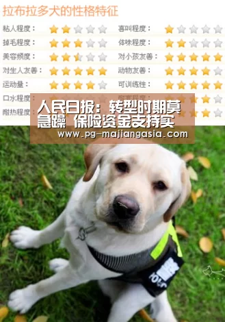 人民日报:转型时期莫急躁 保险资金支持实体经济要真心实意:PG麻将平台(图1) PG登录入口