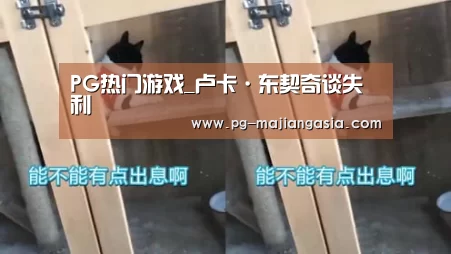 PG热门游戏_卢卡·东契奇谈失利(图1) PG热门游戏