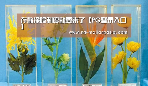 存款保险制度就要来了【PG登录入口】(图1) PG麻将平台