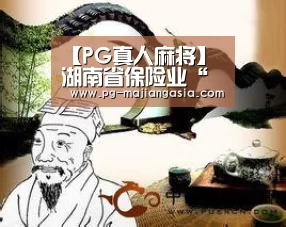 【PG真人麻将】湖南省保险业“十三五”规划出炉(图3) PG登录入口