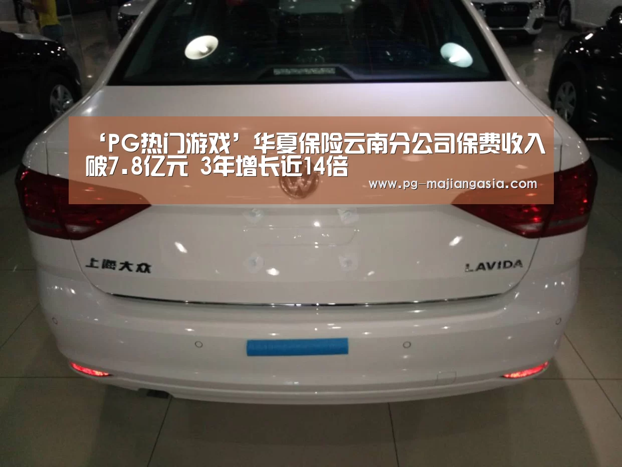PG真人麻将